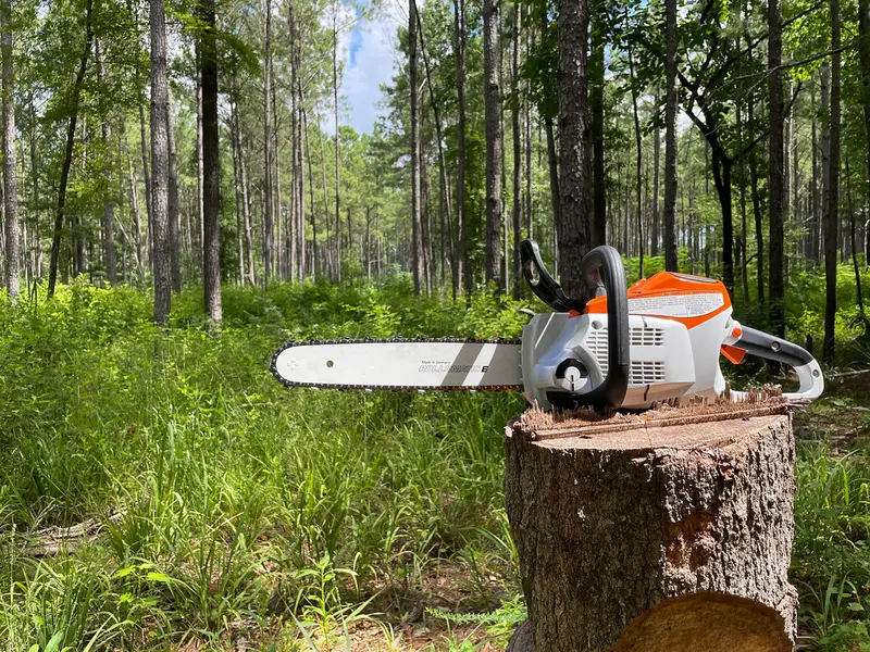 A cordless battery-powered chainsaw