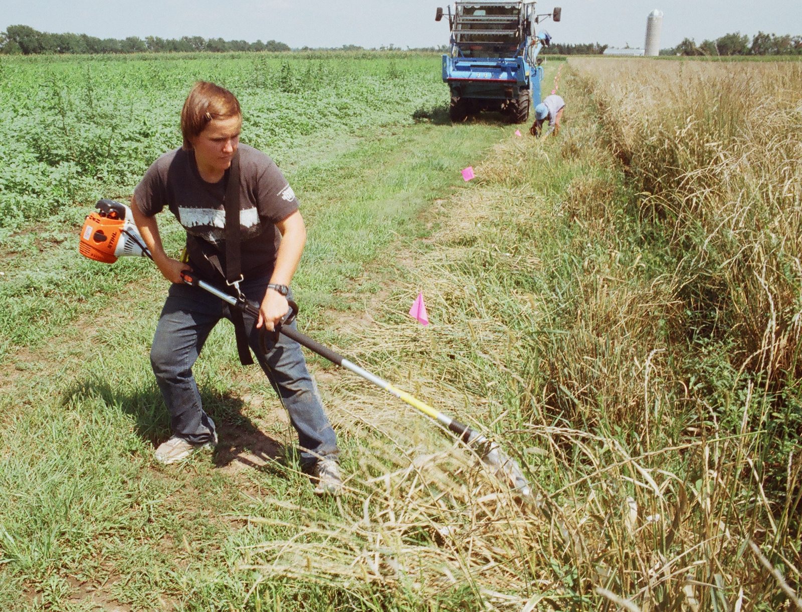 A person cutting plants with a powered hedge trimmer