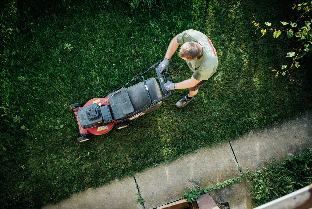 A person mowing a lawn with a walk-behind mower on a sunny day
