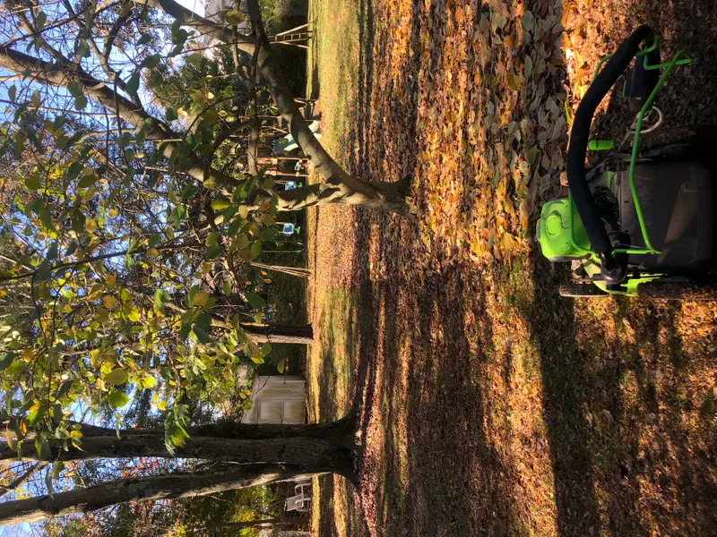 A self-propelled walk-behind mower on a lawn scattered with fallen leaves