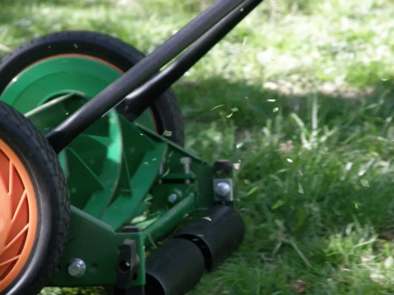 A manual reel push mower with a spinning cylinder of blades