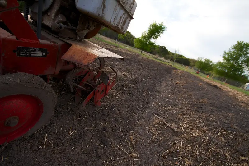 A gardener using a rototiller to prepare a garden bed
